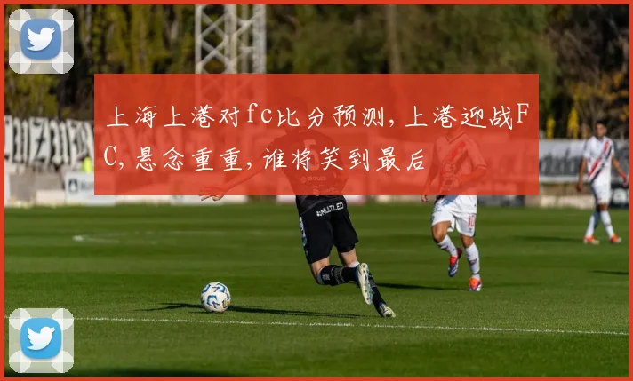 上海上港对fc比分预测,上港迎战FC,悬念重重,谁将笑到最后