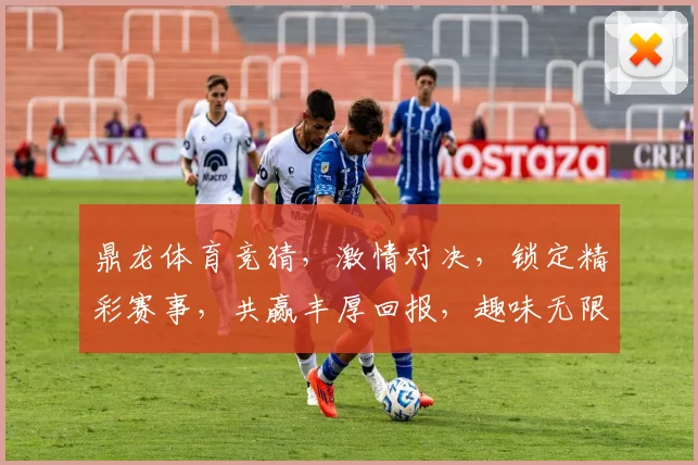 鼎龙体育竞猜，激情对决，锁定精彩赛事，共赢丰厚回报，趣味无限，不容错过